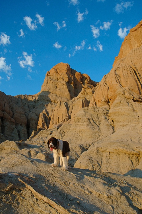 Jasmine at Red Rock State Park 7-30-06