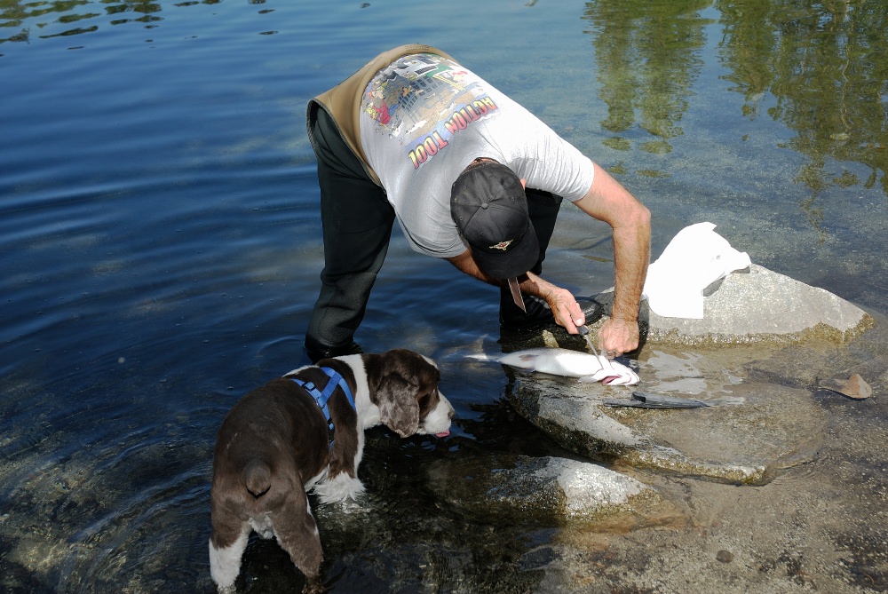 Sky helping Steve clean a fish in Lake Mary at Mammoth 8-1-06