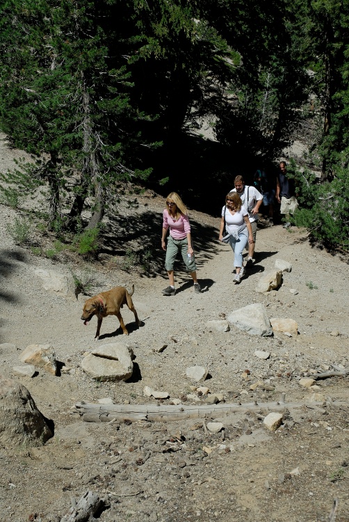 Max Tammy Helen John on family hike at Mammoth 8-2-06