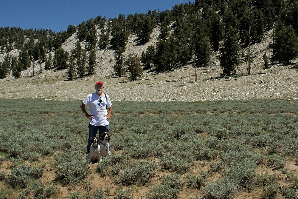 GL Jasmine Sky at Bristlecone forest in the White Mountains 8-3-06