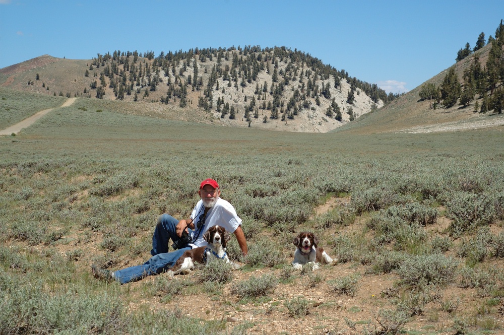 GL Sky Jasmine at Bristlecone Forest in White Mountains 8-3-06