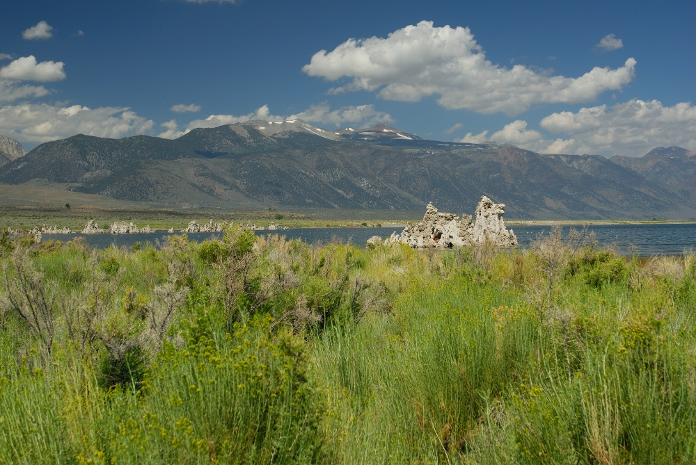 Tufa formation at Mono Lake-9 8-4-06