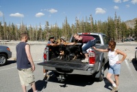 Tom Steve Max Ben Kayla Judy at Horseshoe Lake at Mammoth 8-2-06