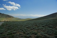 The White Mountains in CA-1 8-3-06