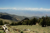 Eastern sierras from the White Mountains 8-3-06