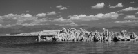 Tufa formation at Mono Lake-8bw 8-4-06