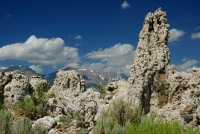 Tufa formation at Mono Lake-3 8-4-06