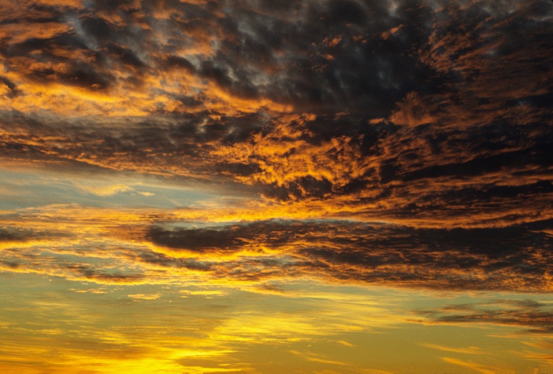 Colorful sunset skies over SF Bay 12-81