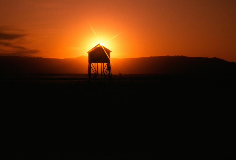 Old water tower at sunset near Vacaville CA 9-83