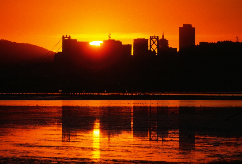 Sunset silhouette of SF skyline from Emeryville 12-85